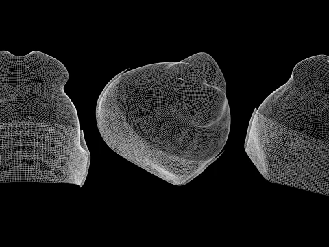 基本豆豆包 - g8m zpac obj fbx highpoly 3D 模型