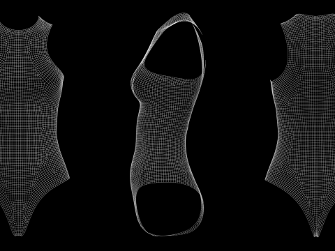 SLEEVELESS BODYSUITS PACK - fv2 zpac obj fbx highpoly 3D Model