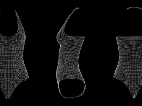 SLEEVELESS BODYSUITS PACK - fv2 zpac obj fbx highpoly 3D Model