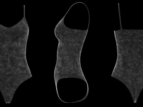SLEEVELESS BODYSUITS PACK - fv2 zpac obj fbx highpoly 3D Model