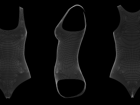 SLEEVELESS BODYSUITS PACK - fv2 zpac obj fbx highpoly 3D Model