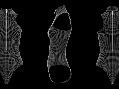 SLEEVELESS BODYSUITS PACK - fv2 zpac obj fbx highpoly 3D Model