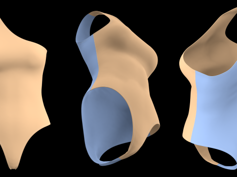 SLEEVELESS BODYSUITS PACK - fv2 zpac obj fbx highpoly 3D Model