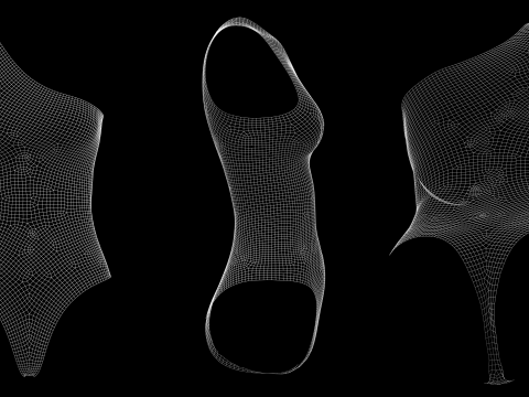SLEEVELESS BODYSUITS PACK - fv2 zpac obj fbx highpoly 3D Model