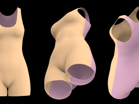 SLEEVELESS BODYSUITS PACK - fv2 zpac obj fbx highpoly 3D Model
