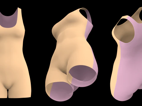 SLEEVELESS BODYSUITS PACK - fv2 zpac obj fbx highpoly 3D Model