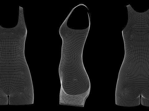 SLEEVELESS BODYSUITS PACK - fv2 zpac obj fbx highpoly 3D Model