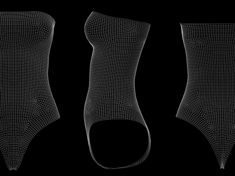 SLEEVELESS BODYSUITS PACK - fv2 zpac obj fbx highpoly 3D Model