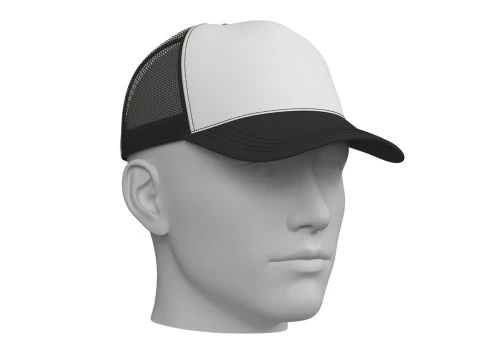 BONÉ BÁSICO DE CAMINHÃO - g8m zprj obj fbx Modelo 3D