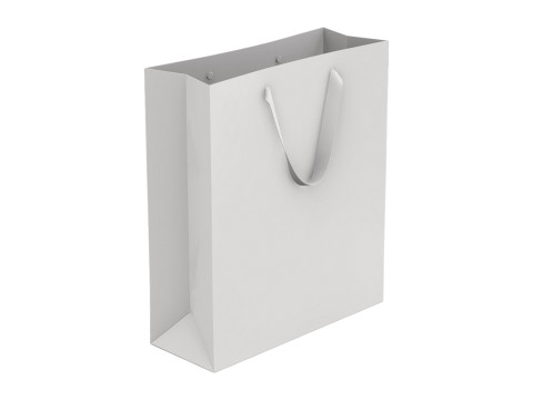 BASIC SHOPPING BAG - zpac obj fbx highpoly 3D Model