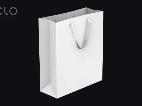BASIC SHOPPING BAG - zpac obj fbx highpoly 3D Model