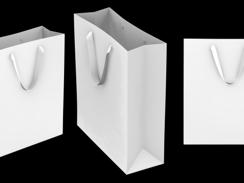 BASIC SHOPPING BAG - zpac obj fbx highpoly Model 3D