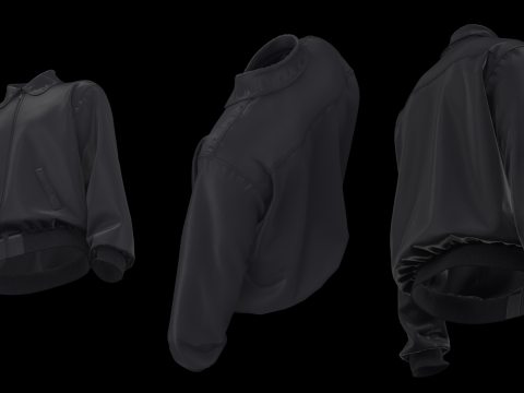 LEATHER BOMBER 2021 - mv2 zprj project highpoly Modello 3D
