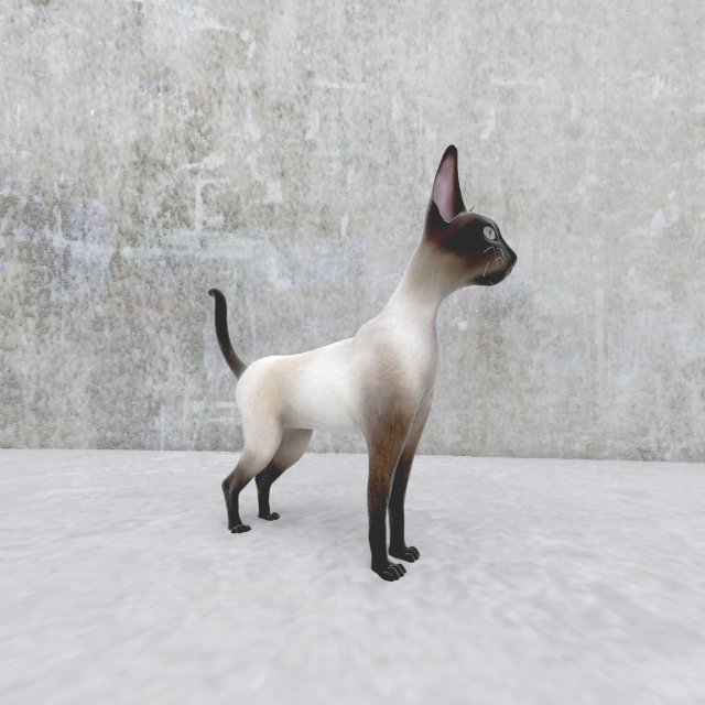 cat 3D मॉडल .c4d .max .obj .3ds .fbx .stl .blend 