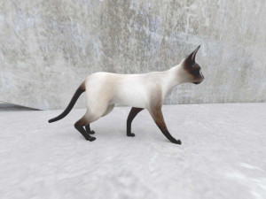 cat 3D मॉडल