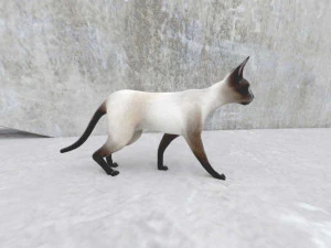 cat 3D Model