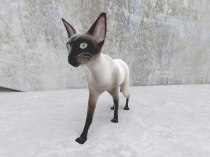 cat 3D मॉडल