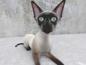 cat 3D मॉडल