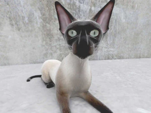 cat 3D Model