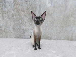 cat 3D Model
