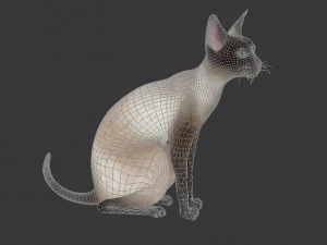 cat 3D Model