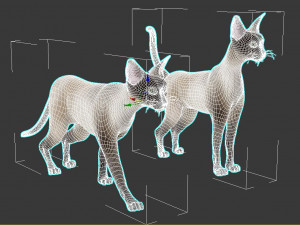 cat 3D मॉडल
