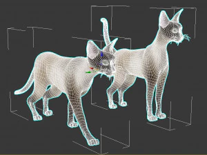cat 3D Model