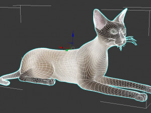 cat 3D मॉडल