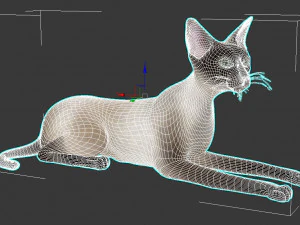 cat 3D Model