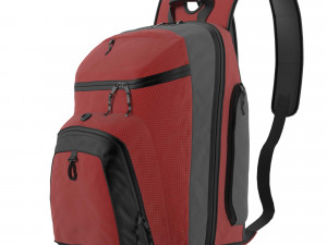 bag 3D Model