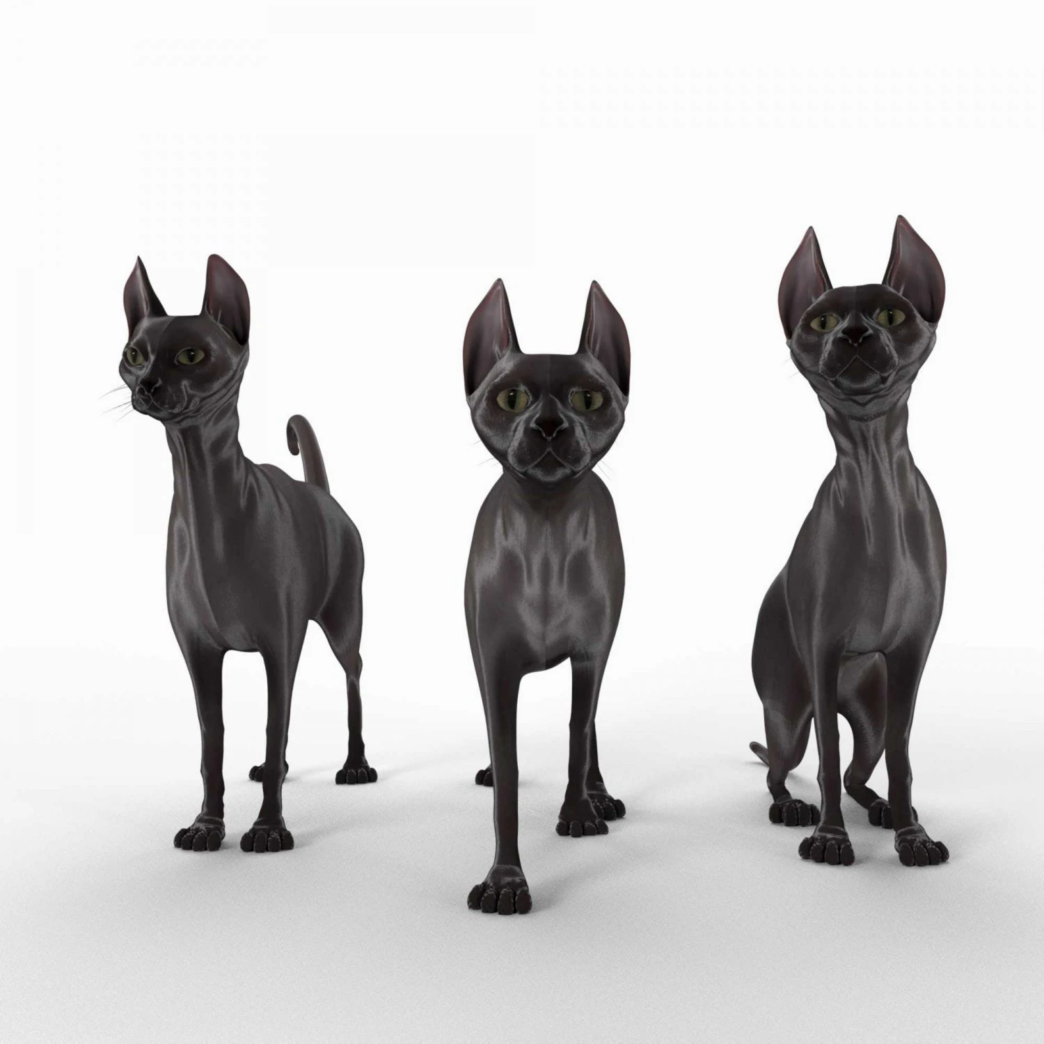 sphynx cat 3D Model .c4d .max .obj .3ds .fbx .stl .blend 