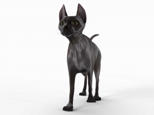 sphynx cat Model 3D