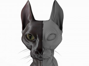 sphynx cat Model 3D