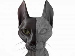 sphynx cat 3D Model