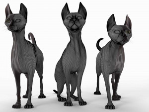 sphynx cat Model 3D
