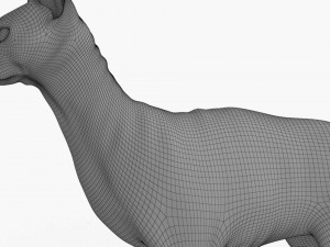 sphynx cat Model 3D