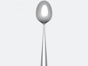 spoon 3D 모델