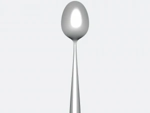 spoon 3D Model