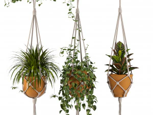 kamerplanten set 01-hangplanten met macram&eacute; 3D Model