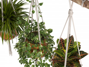 indoor plants set 01-hanging plants with macrame 3D Model
