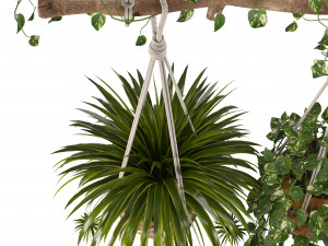 indoor plants set 01-hanging plants with macrame 3D Model