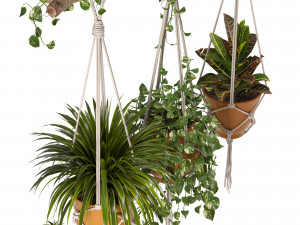indoor plants set 01-hanging plants with macrame 3D Model