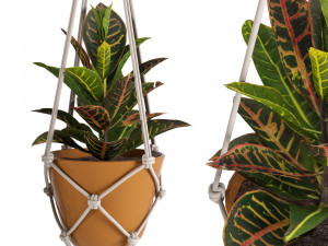 indoor plants set 01-hanging plants with macrame 3D Model