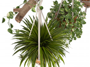 indoor plants set 01-hanging plants with macrame 3D Model