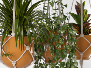 indoor plants set 01-hanging plants with macrame 3D Model