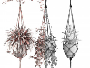 indoor plants set 01-hanging plants with macrame 3D Model