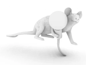 ratinho segurando objeto Modelo de Impressão 3D