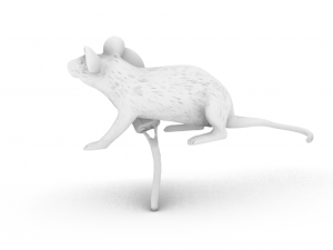 little mouse holdind object 3D Print Model