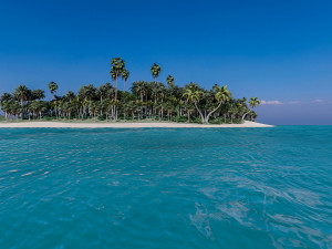 islands 3D Модель
