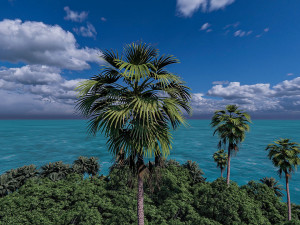 islands 3D Модель